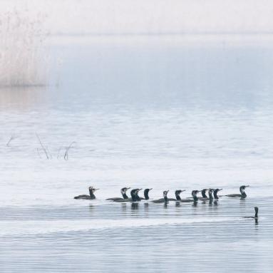 Marie Jeanne Fautres