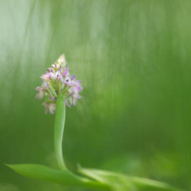 Marie Jeanne Fautres