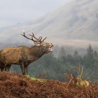 Jean-Pierre Fautrès