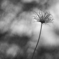 Marie-Jeanne Fautrès