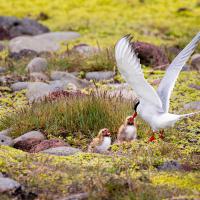 Jean-Pierre Fautrès