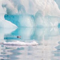 Marie-Jeanne Fautrès