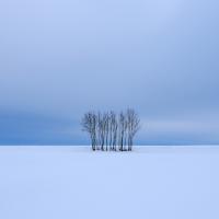 Marie-Jeanne Fautrès