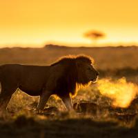 Marie-Jeanne Fautrès