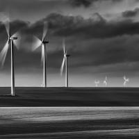 Dominique Guis - Médaille du Paysage