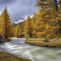 Marie-Jeanne Fautrès