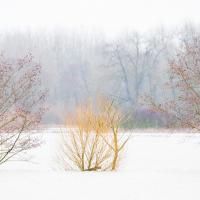 Marie-Jeanne Fautrès