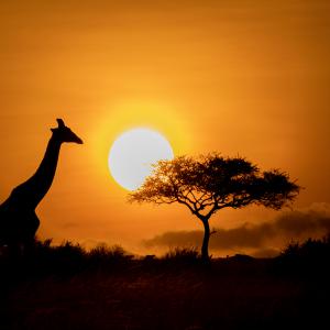 Jean-Pierre Fautrès