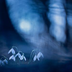 Marie-Jeanne Fautrès