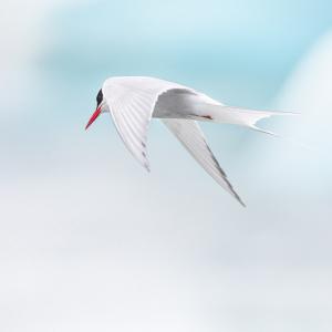 Marie-Jeanne Fautrès