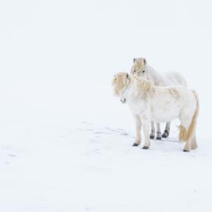 Marie-Jeanne Fautrès