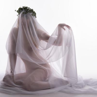 Gérard Chenivesse - Derrière le voile du désir