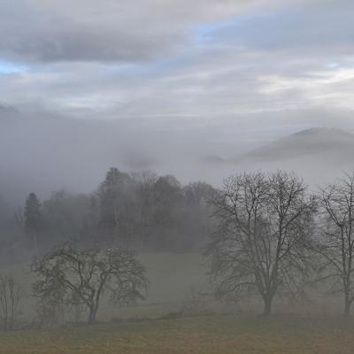 Patrick Helfer - Brumes vosgiennes