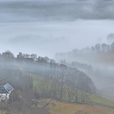Patrick Helfer - Brumes vosgiennes
