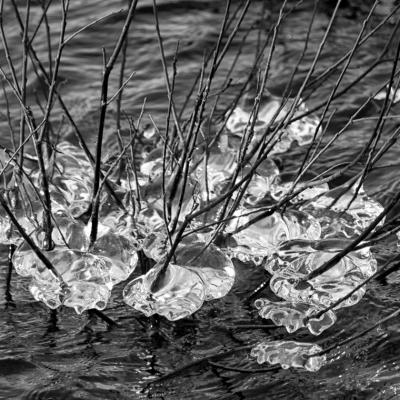 Nathalie Kalbé - Glace scintillante