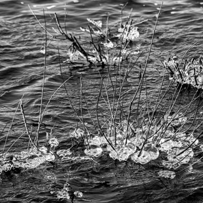 Nathalie Kalbé - Glace scintillante