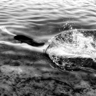 Patrice Kalbé - Aphrodite : le bain