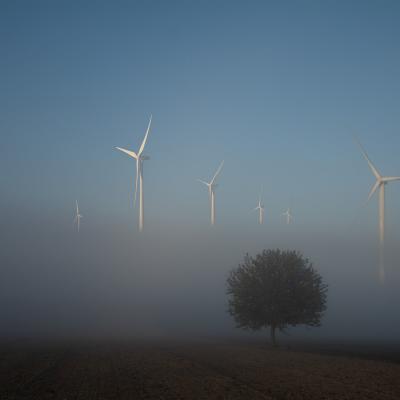 Patrick Picard - Brumes matinales