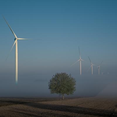Patrick Picard - Brumes matinales