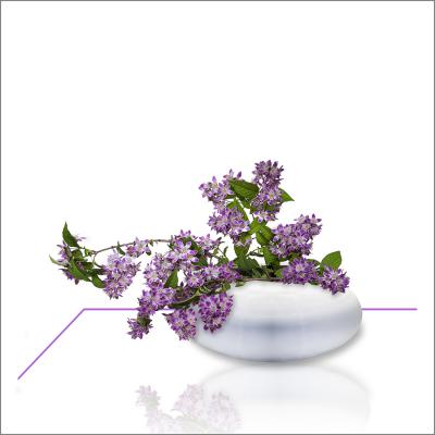 Gérard Antoine - Vase blanc