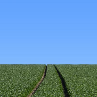 Philippe Antropius - Culture