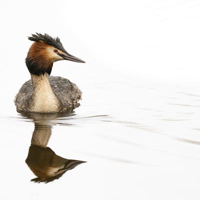 Gérard Guillaume - Tryptique volant - 1