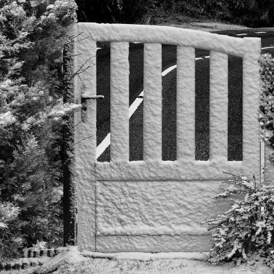 William Moulin - Sortie délicate