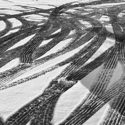 William Moulin - Sortie délicate