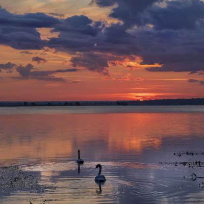 Maria Seabra - Les aubes du Der