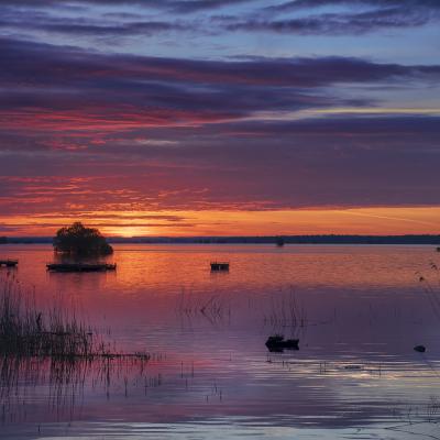 Maria Seabra - Les aubes du Der