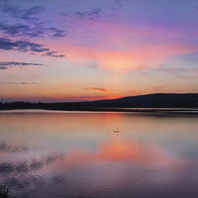 Maria Seabra - Les aubes du Der