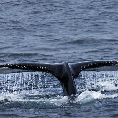 Marie-Ange Vasseur - Belle rencontre