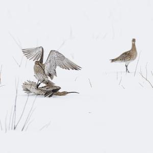 Marie-Jeanne FAUTRES